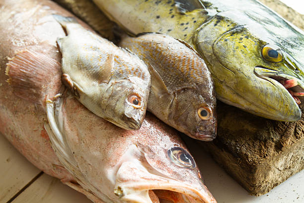 Freshly caught parrotfish, grouper, and other fish displaying vibrant colors and textures, lying on a market stall, ready for preparing Ecuadorian and South American traditional seafood recipes