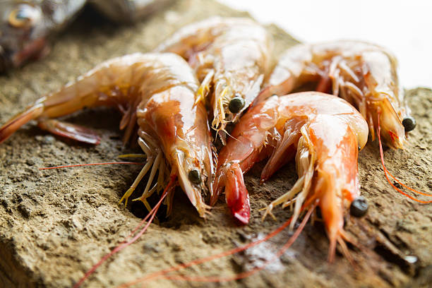Grouping of sea fresh raw shrimp and a golden fish presented on a rustic stone cutting board, emphasizing healthy eating, seafood preparation, and traditional South American cuisine