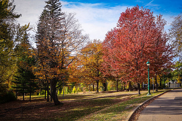 istock Fall Colors and Leaves of Quebec 2253652372