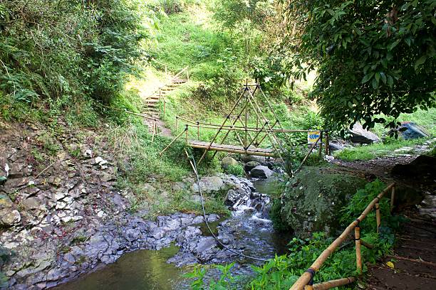 istock Tropical Forest Path with Flowing Water, Bamboo Poles, and Hiking Access 2253657822