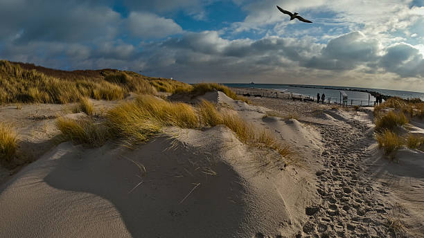 istock Beach view next to grasslands at sunset 2253660337