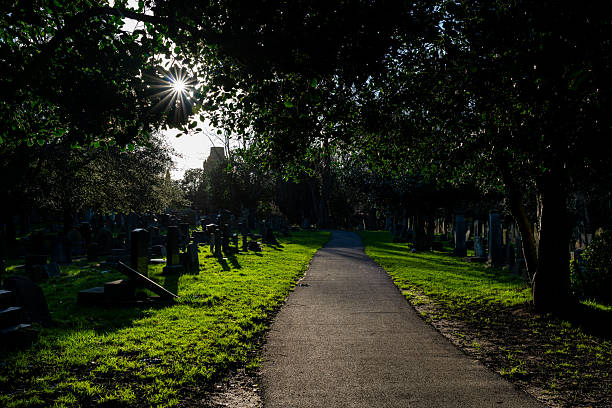 Paved footpath curves between rows of historic gravestones beneath a leafy canopy with sunburst through tree canopy