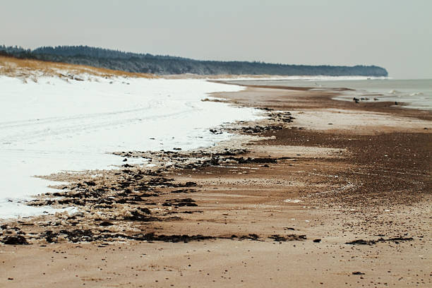 Snowy coast of the Baltic sea.