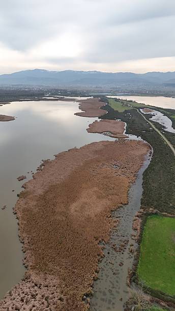 istock Aerial drone view of the lagoon within the delta. 2253664703
