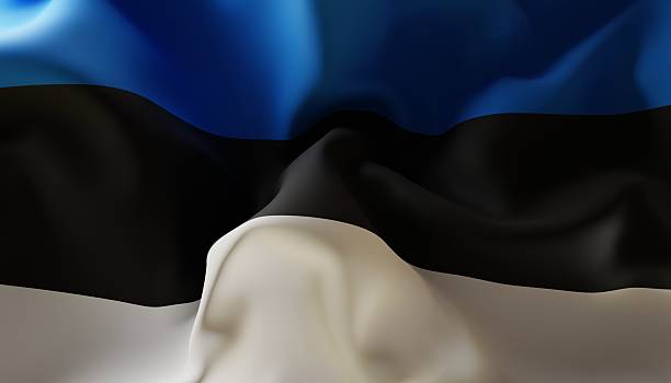 istock Flag of Estonia. Close-Up 2253664709