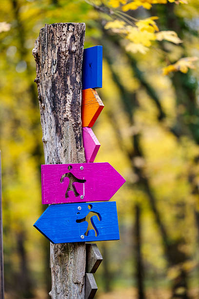 Woman wearing boots hiking in autumn forest. Close-up of male hiker walking on path covered with autumn leaves.