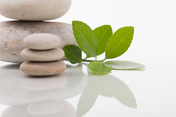 Stack of zen stones with fresh green leaves. Perfect for concepts such as balance, meditation, spa, health, wellness and tranquility.