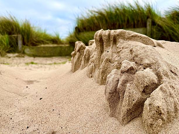 Sand which has been blown into a textured shape against marram grass at Blyth in Northumberland