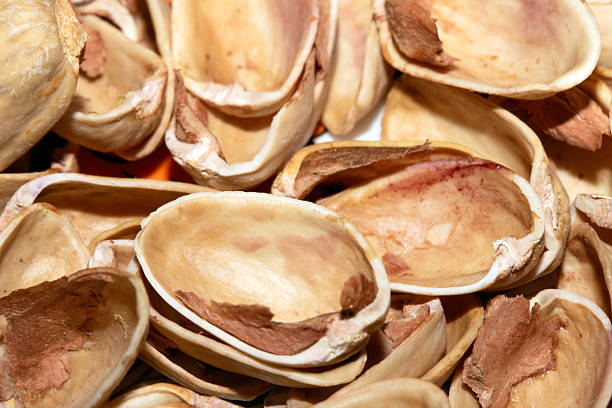 Close up of empty pistachio shells nuts