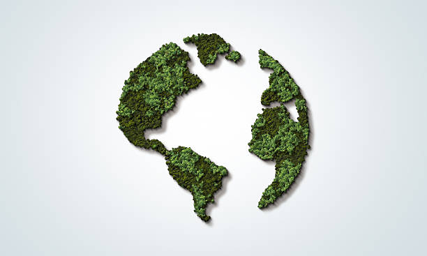 istock Green World Map- 3D tree or forest shape of world map isolated on white background. 2253674821