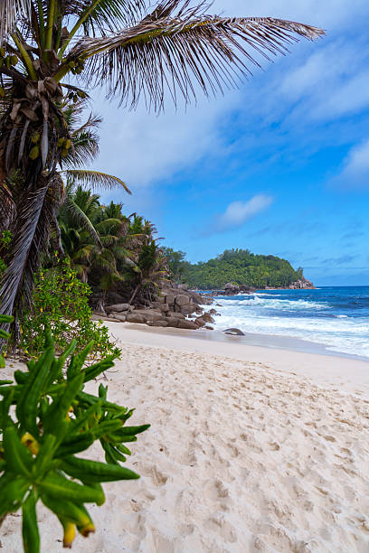 istock Police Bay beach on the Mahe Seychelles 2253675773