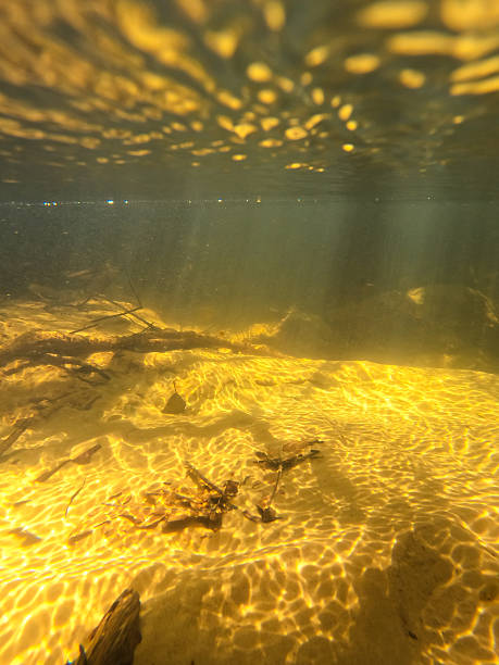 istock Underwater View of Riverbed with Sunbeams and Sandy Bottom in Forest 2253675814