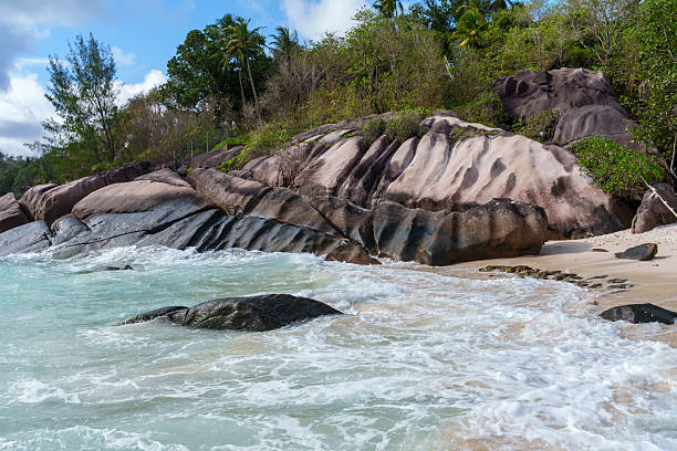 A low-angle shot of weathered granite cliffs at Anse Louis on Mahé Island, Seychelles. The rock face displays vertical erosion patterns and varying mineral coloration, ranging from dark grey to orange-brown. The summit and crevices are populated with lush tropical trees and palm species, including the endemic palms of the Seychelles.