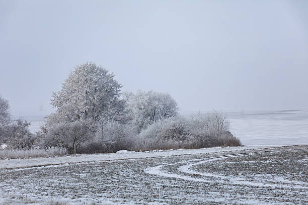 istock Frosted Landscape in South Moravia, Czech Republic, Winter Trees 2253676536