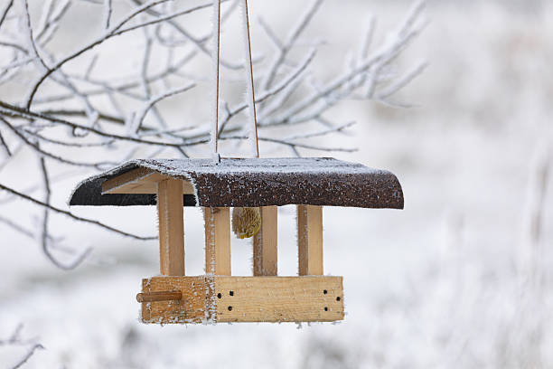 A bird feeder with a small yellow bird. This scene in snowy South Moravia, Czech Republic.