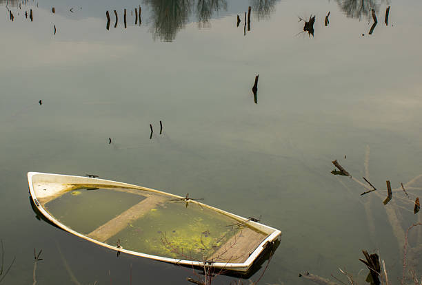 A hauntingly beautiful scene of an abandoned sunken boat resting in a calm lake, surrounded by nature. The still water reflects the sky and surrounding vegetation, creating a serene and tranquil atmosphere. Perfect for themes of solitude, decay, forgotten places, and the quiet beauty of wilderness.