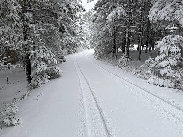 Camden hill state park in the winter