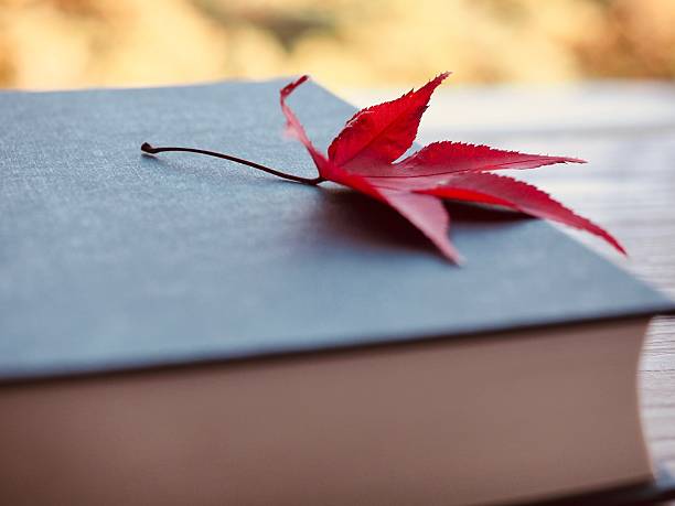 Reading