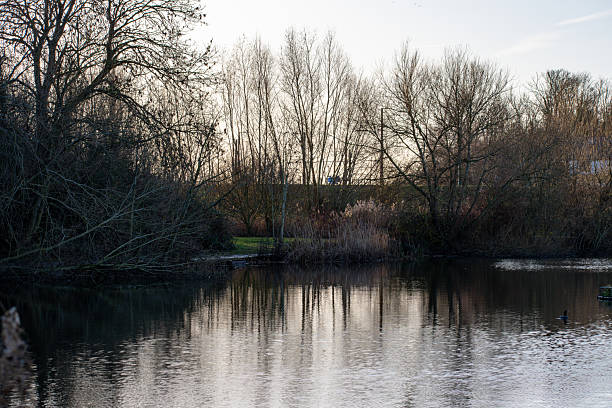 Early morning view of Iremongers Pond in Nottingham, UK.