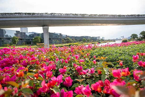 A vibrant display of pink flowers under a concrete overpass, showcasing urban nature integration. The scene is lively and colorful, evoking a sense of harmony between city infrastructure and natural beauty. Potential usage includes landscape design inspiration or urban development projects.