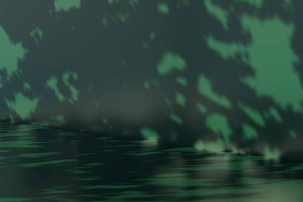 3d forest green corner with leaf shadows and reflective floor. moody natural luxury concept. clean studio background for skincare cosmetic perfume branding display. 3d render.