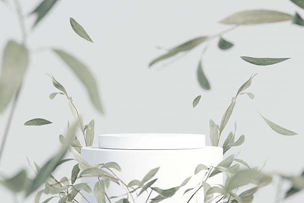 istock 3D Podium white room with leaf. Abstract background for product branding and presentation advertising. Minimal Luxury Design Product Podium Mockup scene with empty space minimal style. 3d render. 2253696603