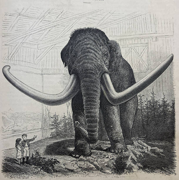 Antique illustration pre 1900 - two children looking up at a very large woolly mammoth in a museum