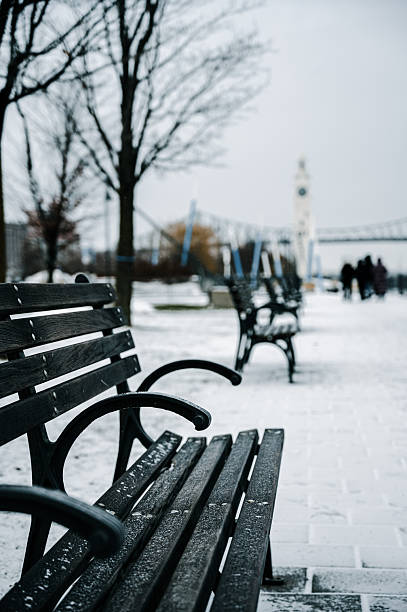 Frozen and snow-covered park bench.