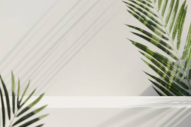 istock 3d rendering botanical round table product display podium background. abstract background with plant and shadow on the wall for cosmetic advertising sale product. Organic cosmetic and food concept 2253705633
