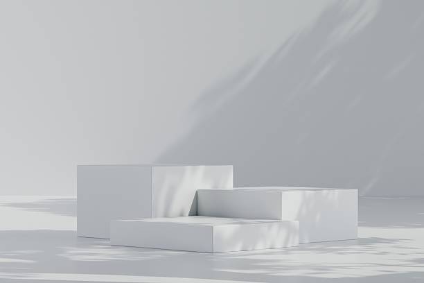 istock 3d Abstract luxury black room with realistic white square pedestal podium set and leaf shadow overlay. Minimal design scene for stage product display presentation. Geometric platform. 3D rendering. 2253705792