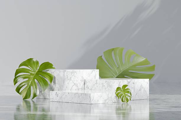 istock 3d Abstract white room with realistic white marble square pedestal podium set and leaf shadow overlay. Minimal design scene for stage product display presentation. Geometric platform. 3D rendering. 2253705870