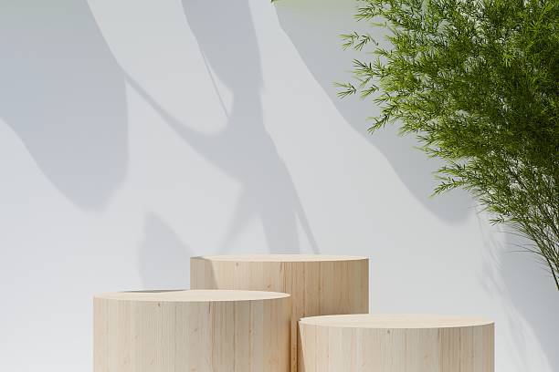 istock 3D Podium empty stylish wood cylinder with beautiful morning sunlight with dappled light on white wall in background. Beauty, skincare, cosmetic products display backdrop. Natural showcase. 3d render. 2253708955