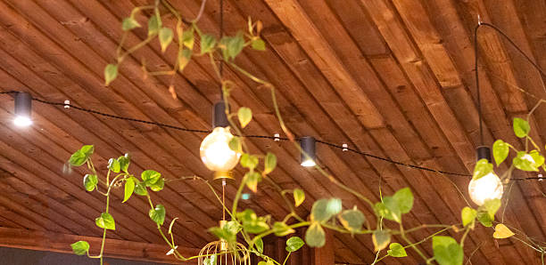 istock Cozy rustic indoor scene with hanging plants and warm string lights under a wooden ceiling 2253711218