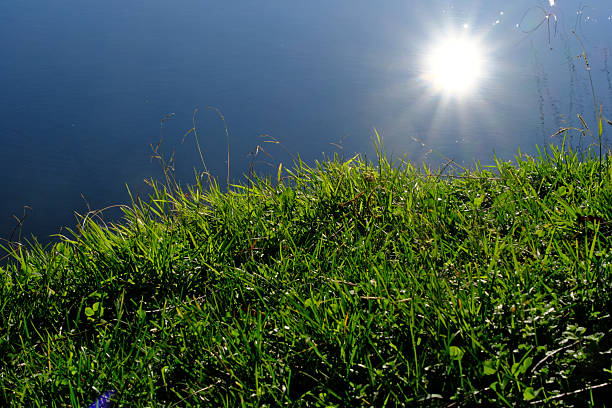 Sun Reflection over Lake with Vibrant Green Grass on the Shoreline