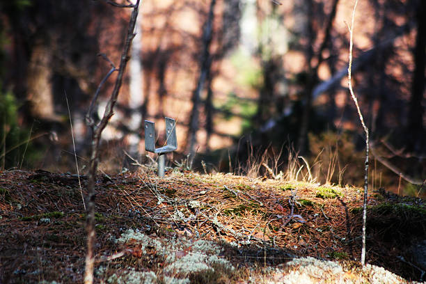 istock A metal thing in a stone in the forest 2253715583