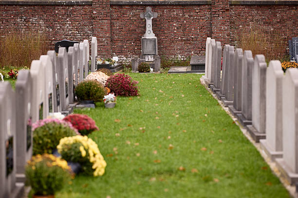 Rows of gravestones line a path through a peaceful cemetery, adorned with green grass and vibrant autumn flowers, with an old brick wall and cross monument in the background.