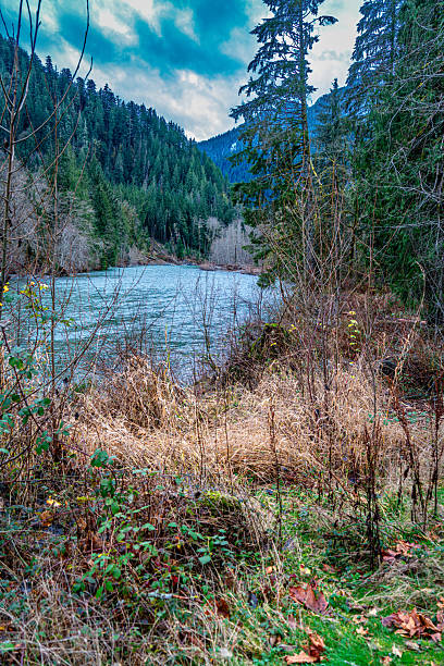 istock Snoquamie River In Winter 2 2253720268