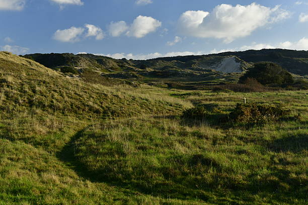 Sand dunes and public park.