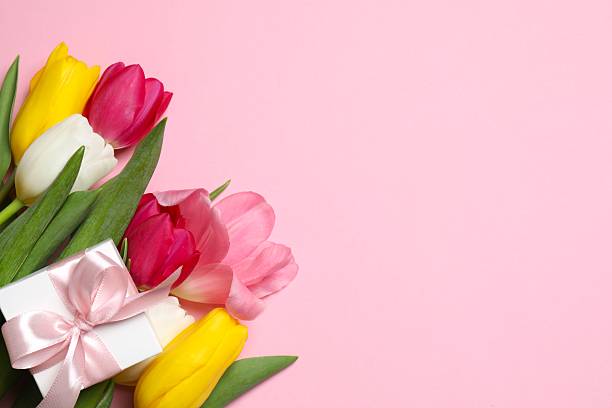 istock Beautiful fresh tulips with gift box on color background 2253731920