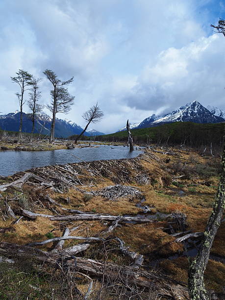 istock Ushuaia landscape 2253734682