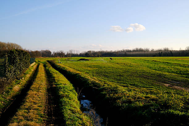 Quiet rural path running alongside an irrigation ditch through green farmland under a clear sky. Agricultural landscape conveying simplicity, sustainability, countryside life, environmental balance, and connection between land and water.