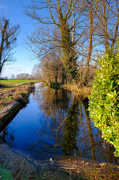Quiet rural canal lined with tall trees, reflecting branches and blue sky on calm clear water. Peaceful countryside landscape conveying tranquility, balance, nature, sustainability, and slow living.