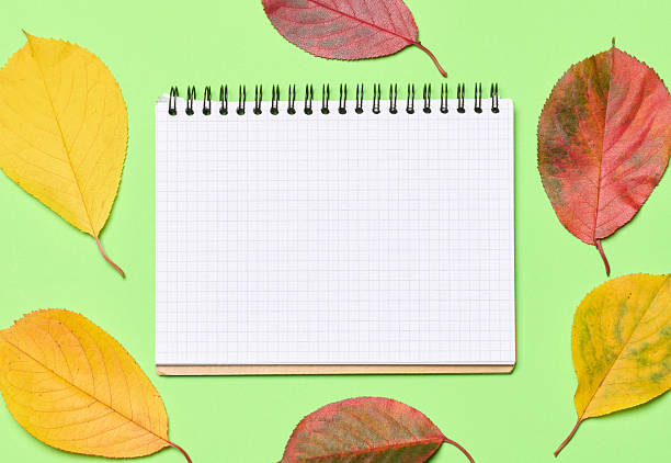 istock A notebook with a checkered pattern among yellow and red cherry leaves on a green background 2253734993