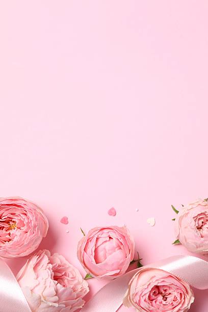 istock Beautiful pink peony roses on a color background 2253735323
