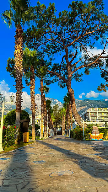 istock A beautiful scenic pathway, bordered by lush palm trees, extends under a radiant blue sky, situated in a charming Mediterranean coastal town that captures the essence of leisure and relaxation 2253736978