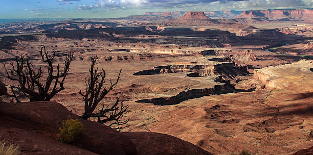 istock Canyonlands National Park 2253737779