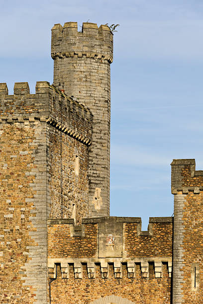 3D rendering of a fairy tale castle isolated on white background