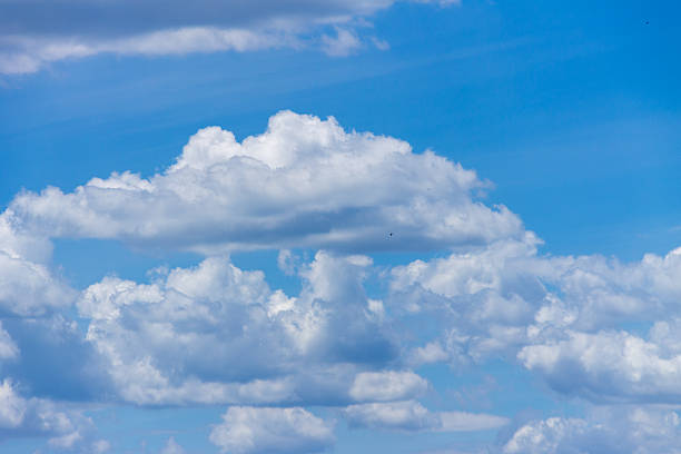 Detailed view of voluminous white cloud layers under a blue sky, highlighting dense textures and natural atmospheric depth.