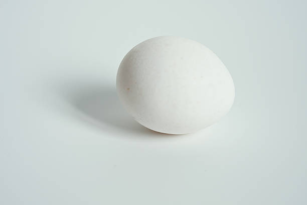 istock Two fresh white chicken eggs on a ceramic plate over a white background. 2253741818