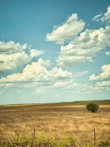 Puffy white clouds against a blue sky fly above a large open brown grass field in Texas